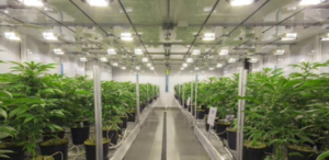controlled air for indoor