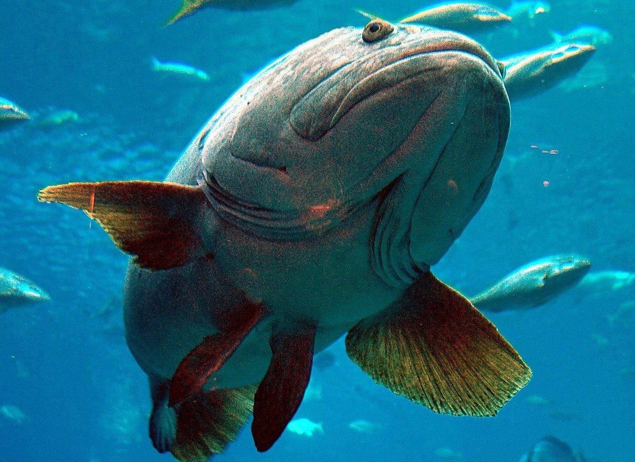 heat pipe companies for cooling