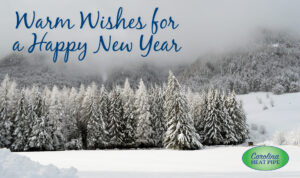 Winter scene with Warm Wishes for a Happy New Year and the Carolina Heat Pipe logo